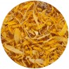 Calendula