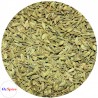 Fennel