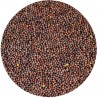 Mustard, Brown