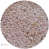 Chia Seeds